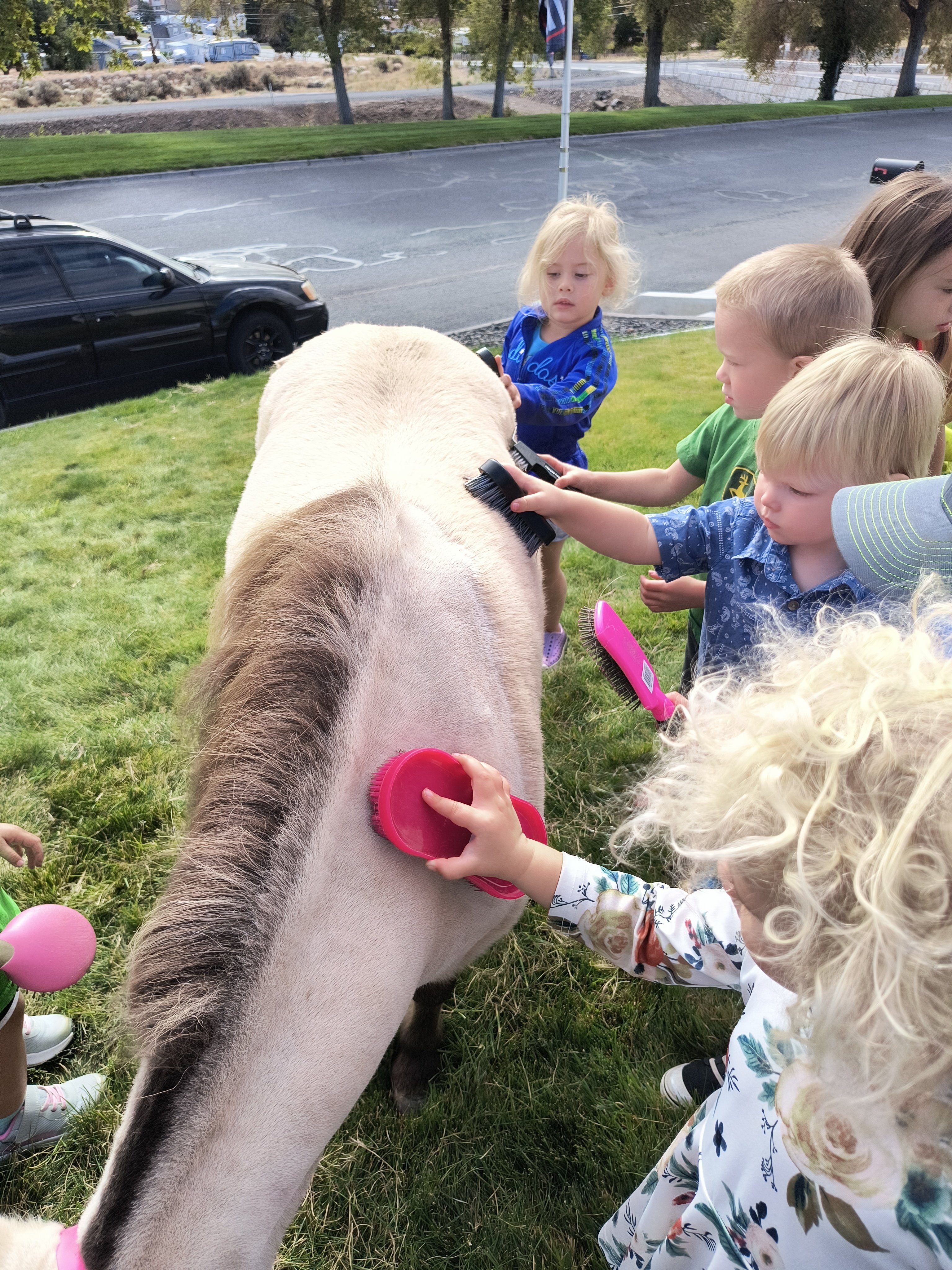 Day Care Center Visits